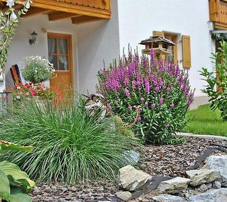 Haus Frainer Lejlighed Wald am Arlberg Eksteriør billede